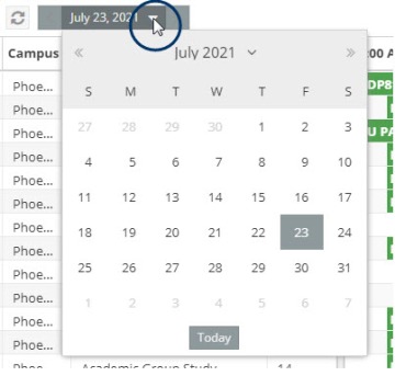 Calendar date selector